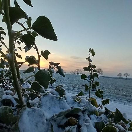 Apartmán Zum Kranichblick Glinstedt Exteriér fotografie